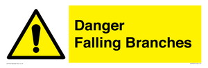 Danger Falling Branches